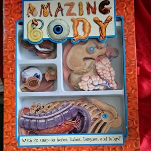Amazing Body Educational Toy
